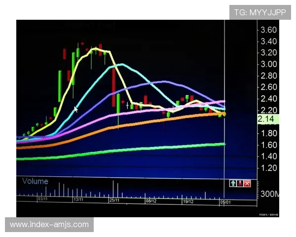 悦凯娱乐市值波动对投资者的影响及应对策略，帮助你做出更明智的投资决策