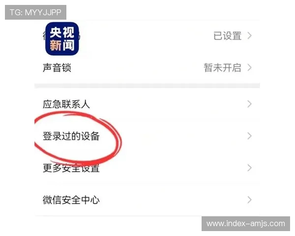澳门金沙城中心娱乐场安全保障措施详解，保障每位玩家的资金与个人信息安全
