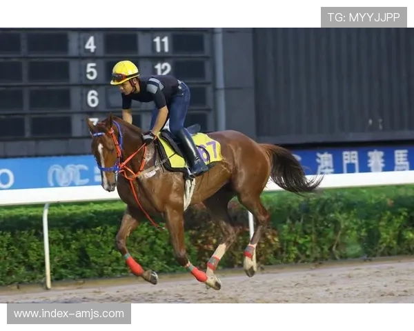 澳门赛马今天直播赛事亮点分析，专业解说带你领略赛马魅力