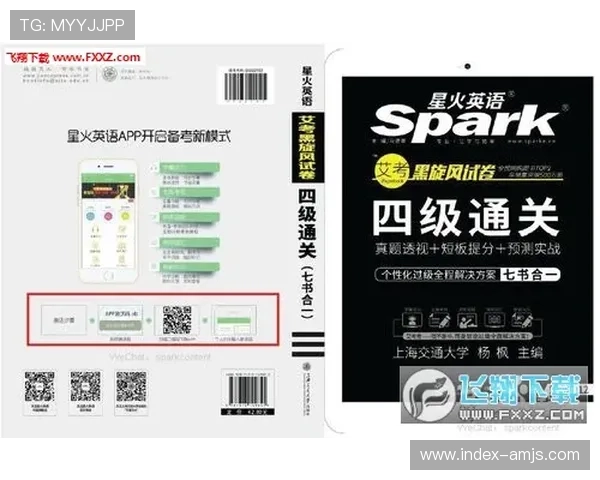 金沙网页登录最新官方入口地址及其稳定性保障措施全面解析